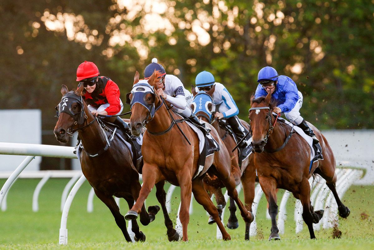 Canterbury Park 2