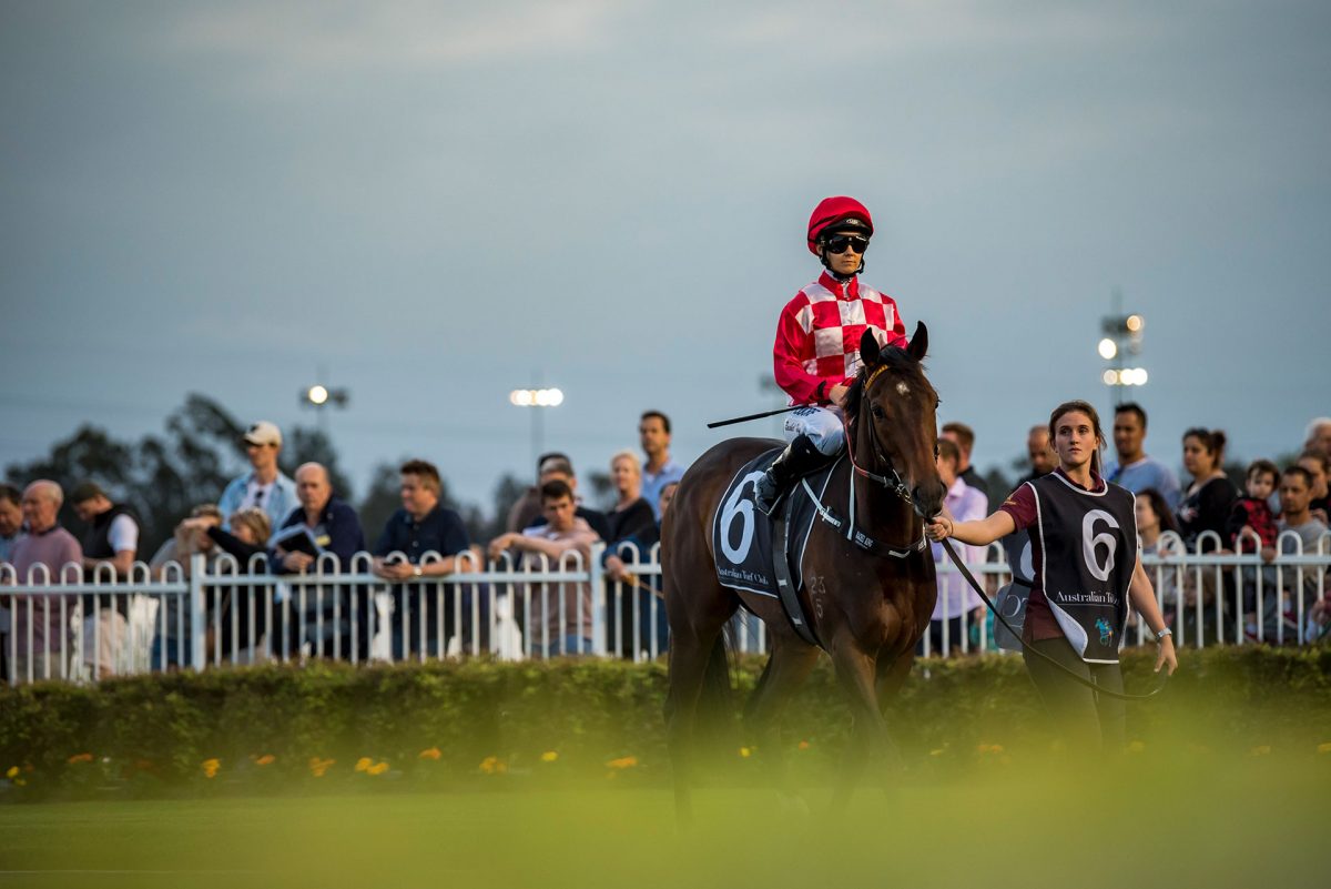 Canterbury Park 4