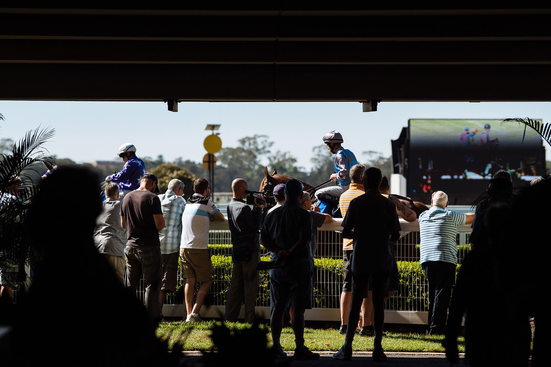 Warwick Farm 5