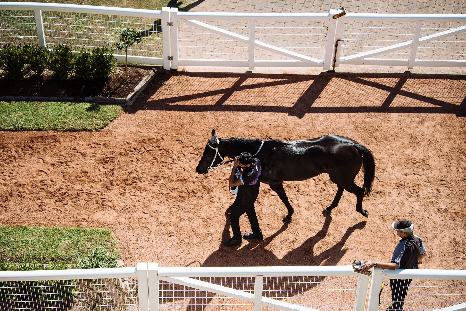 Warwick Farm 6