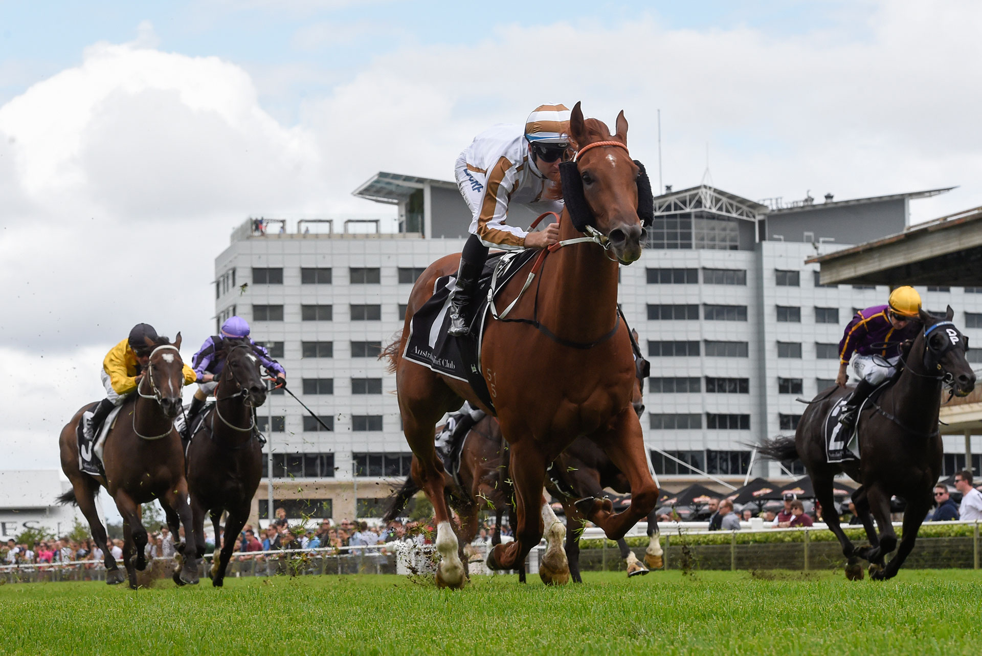 Warwick Farm 3