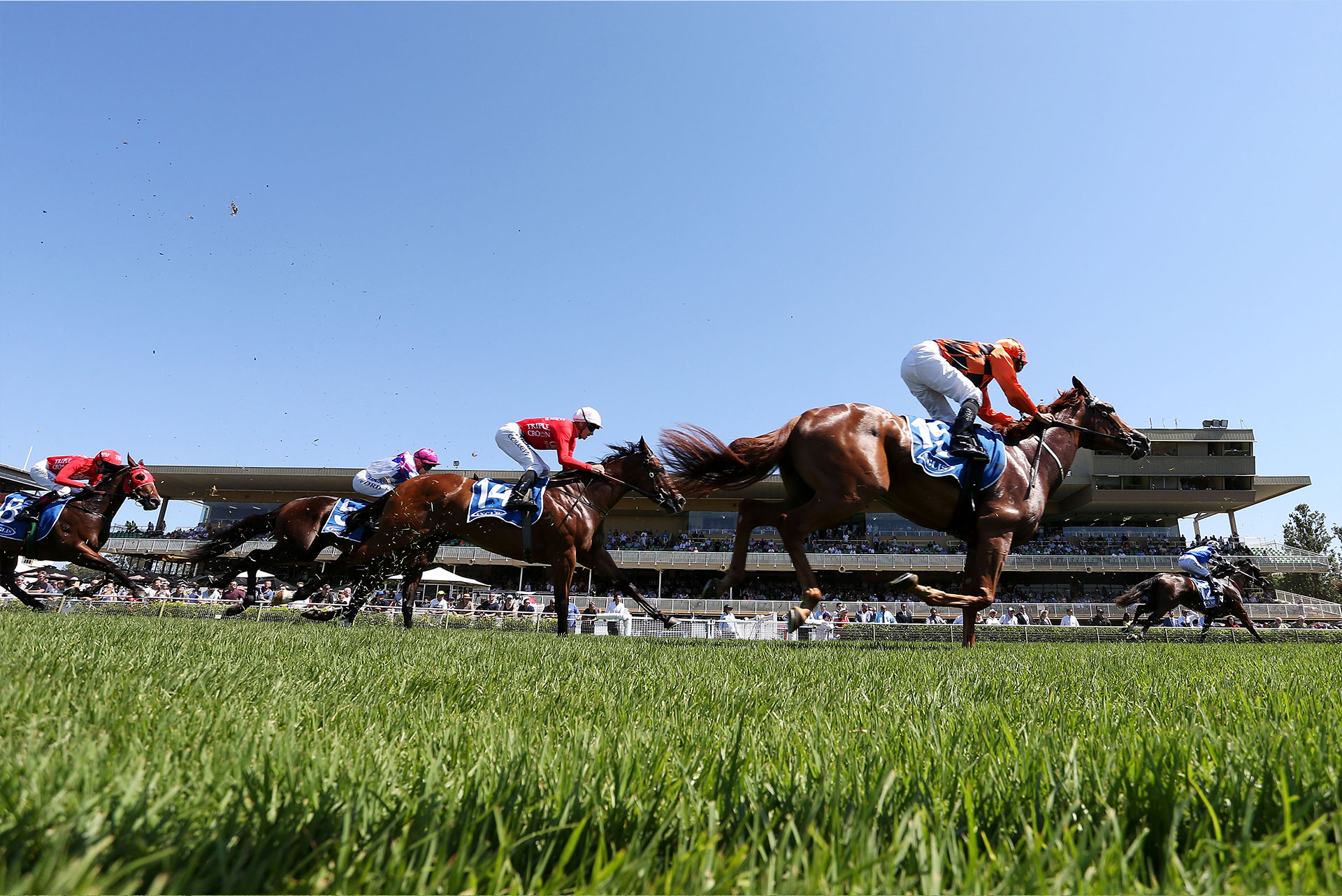 Warwick Farm 1