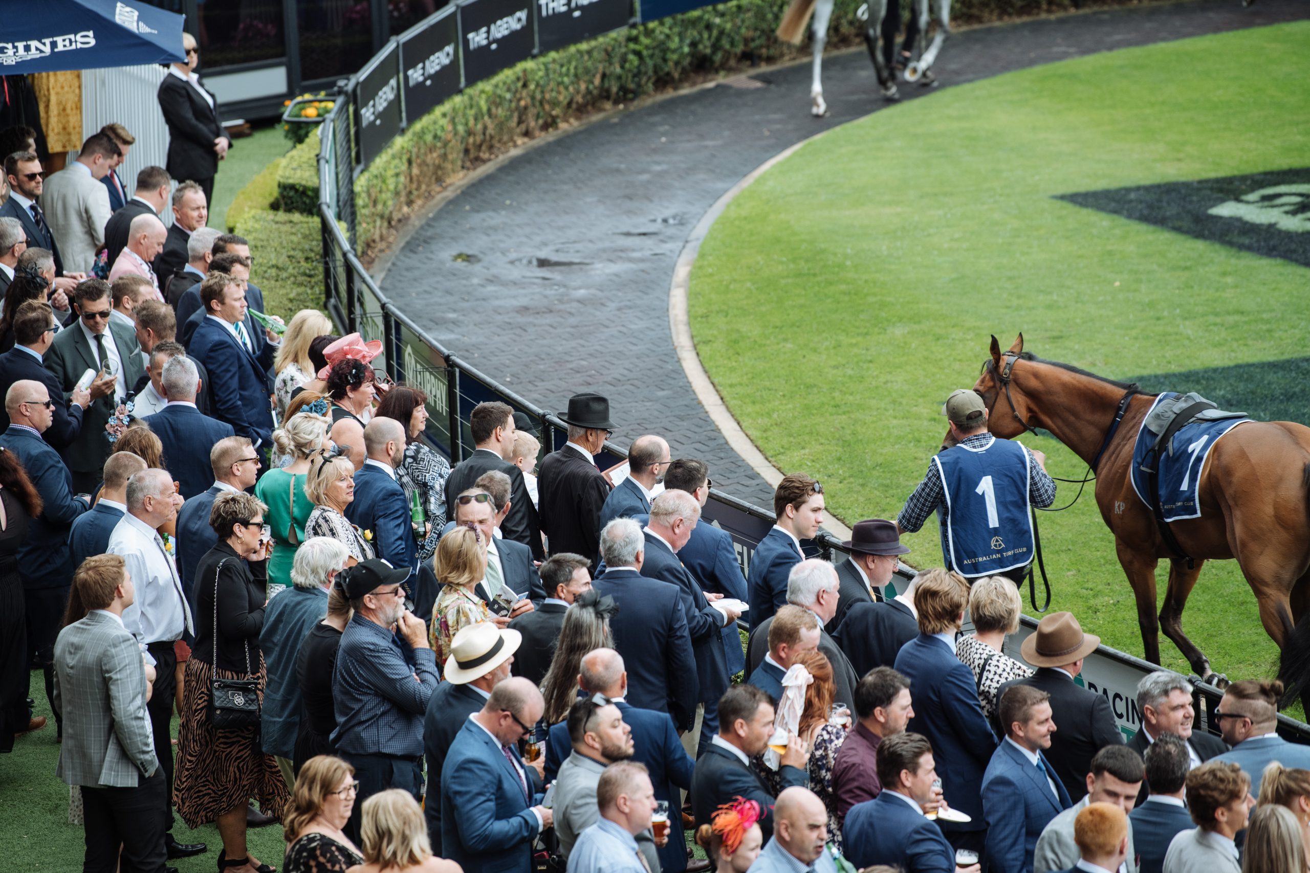 Members' Stand, Rosehill Gardens 