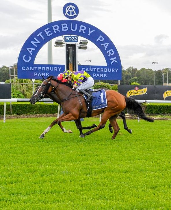 Canterbury Park Raceday