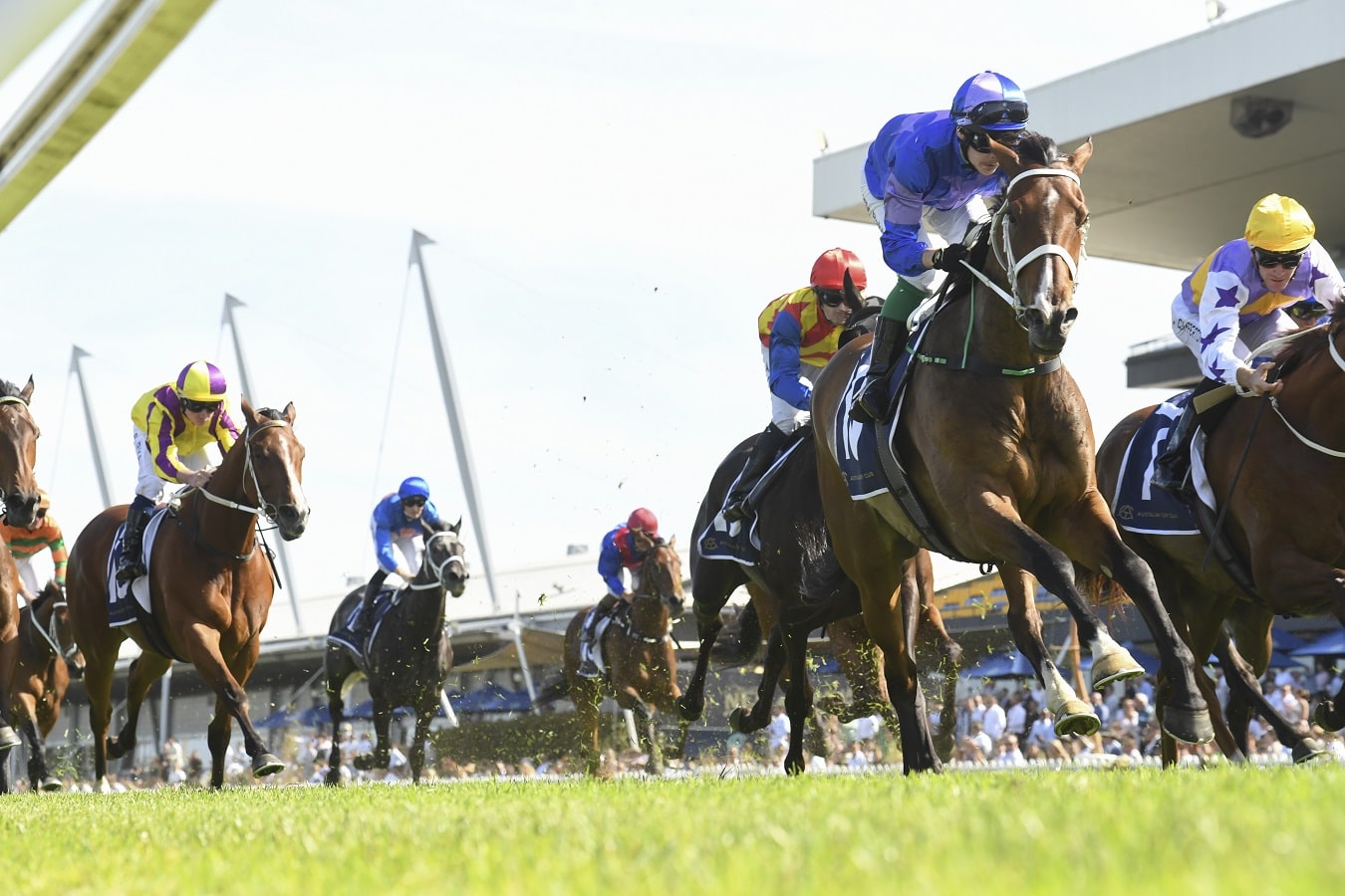 Winter Cup Day