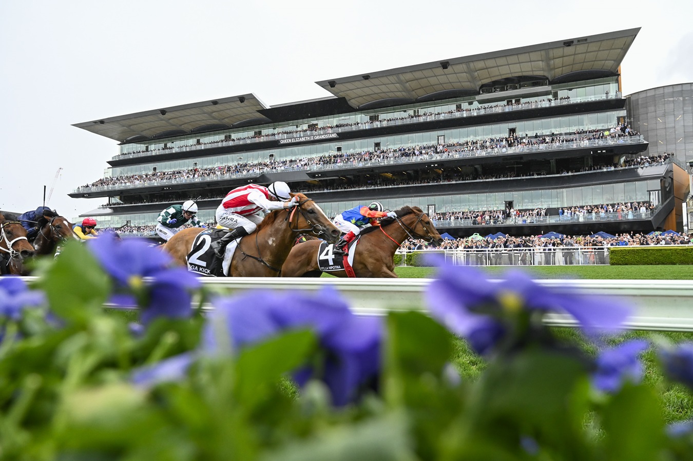 Photographed from the inside of the track, a group of racehorses gallop past with a packed grandstand in the background
