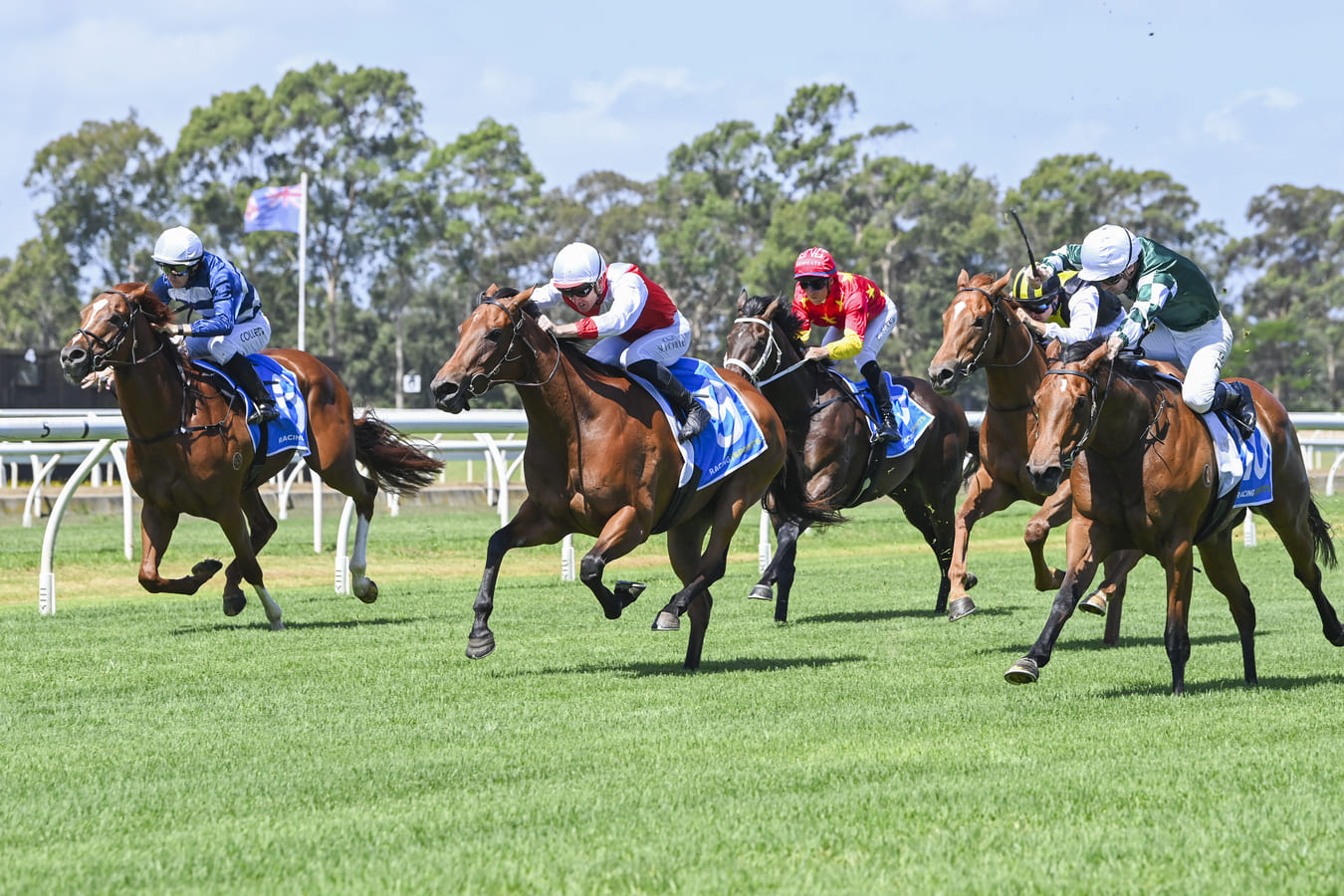 Warwick Farm Midweek