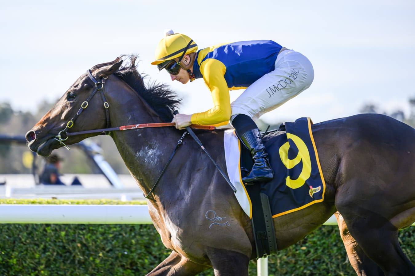 Warwick Farm Midweek