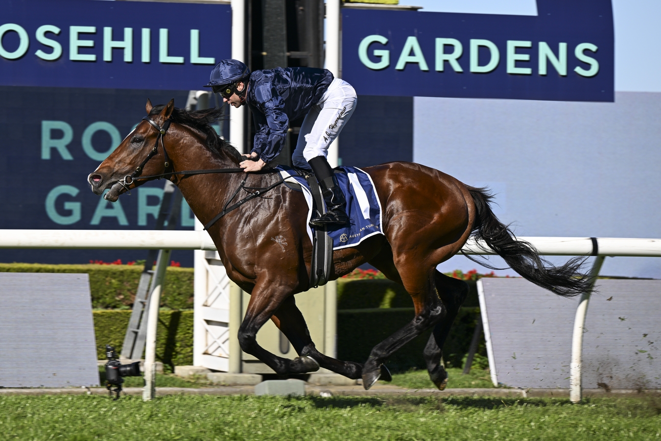 ClubsNSW West Metro San Domenico Stakes Day 
