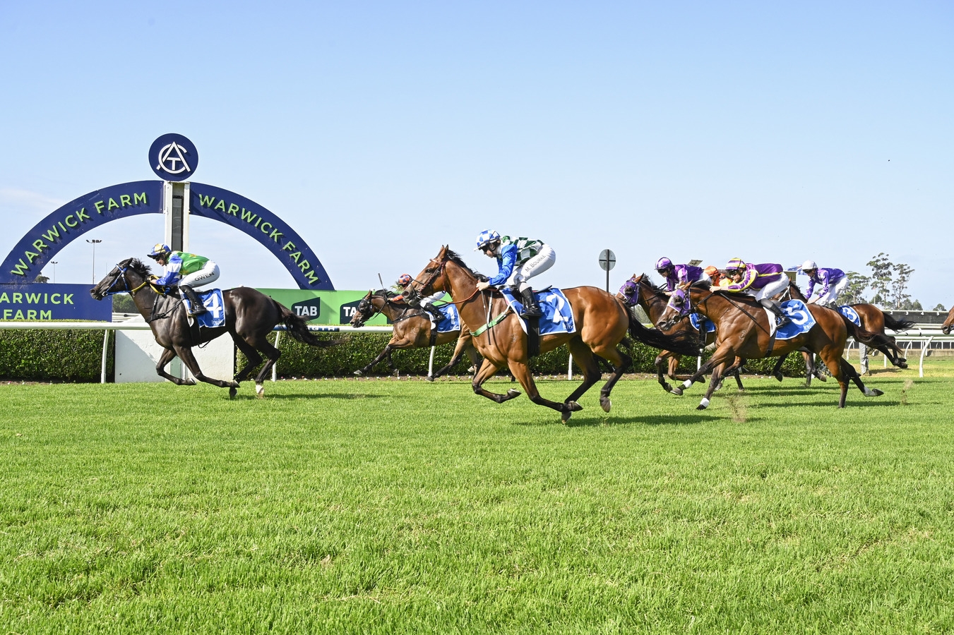 Warwick Farm Midweek