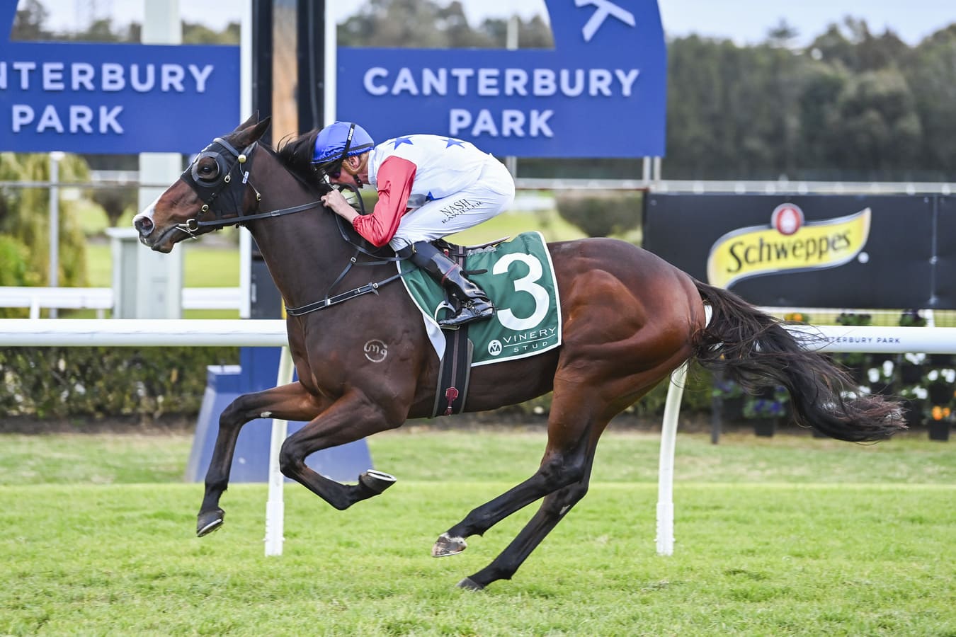 Canterbury Park Midweek
