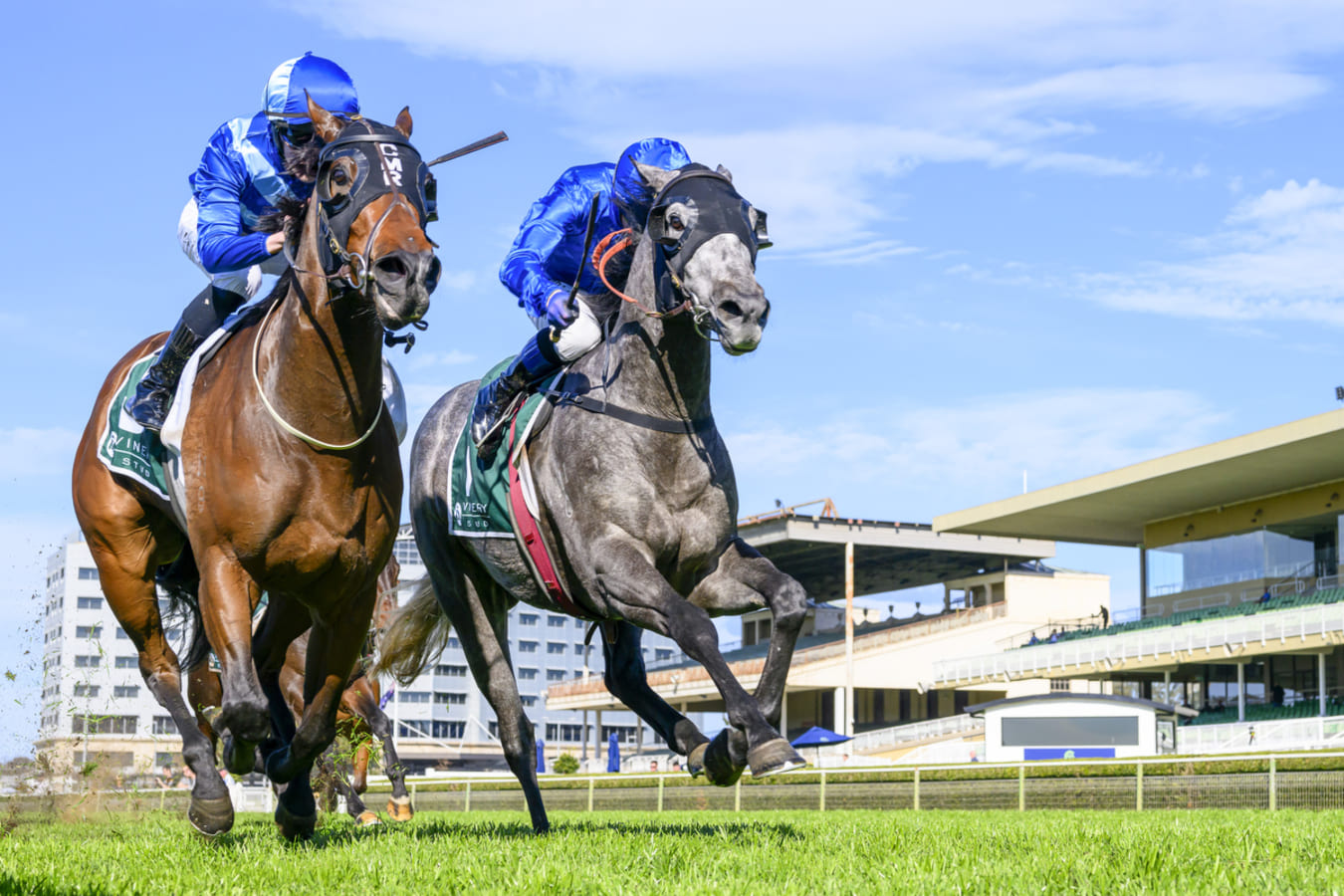 Warwick Farm Midweek