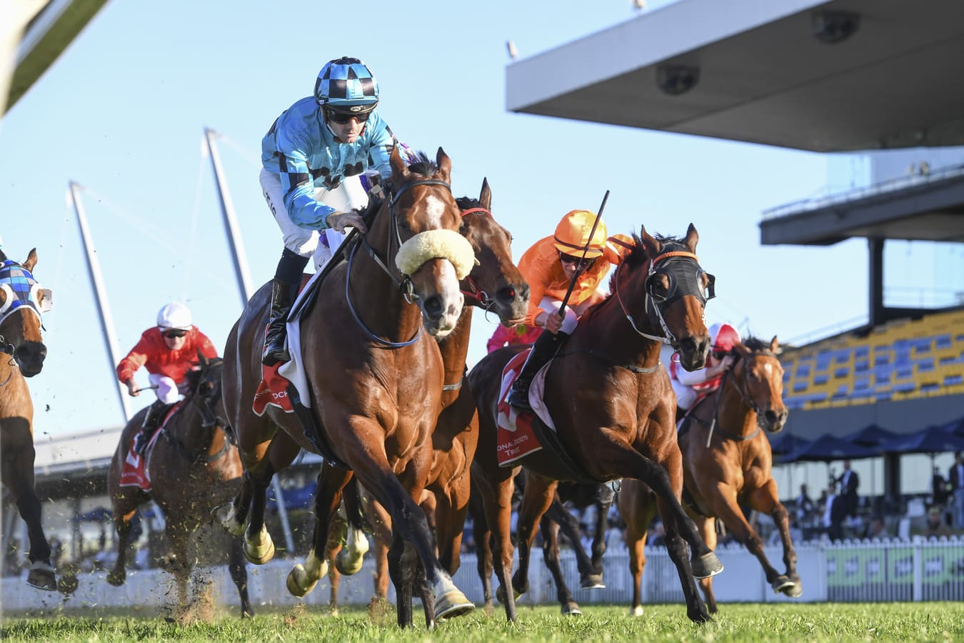Jockey Celebration Day 